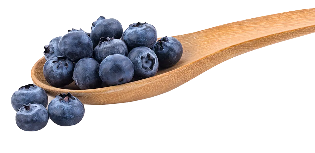 haki-yesil-gida-yaban-mersini-kasik https://haki2.gokhan4.dev/wp-content/uploads/2024/07/haki-yesil-gida-yaban-mersini-kasik.webp