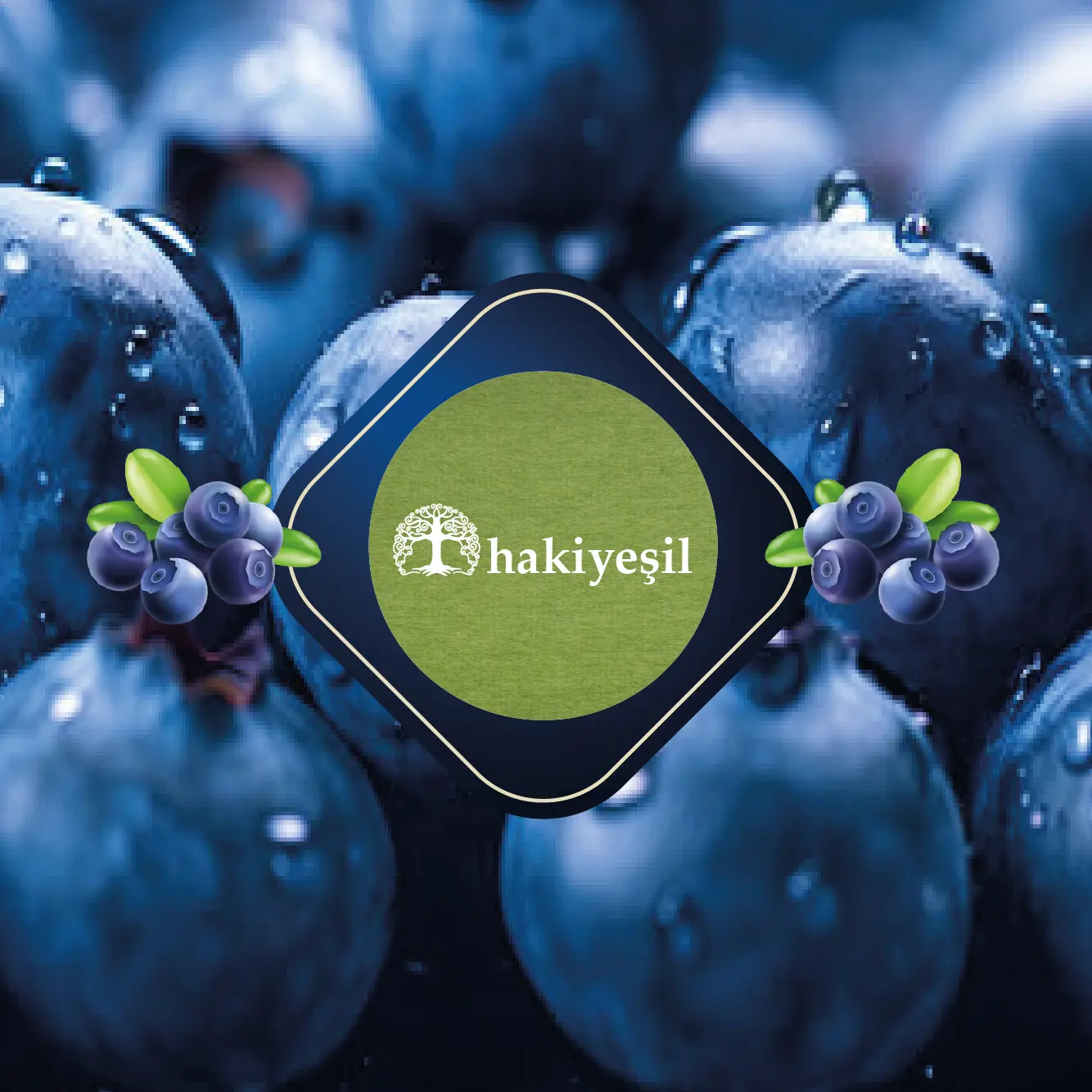 pp_Çalışma Yüzeyi 1 https://haki2.gokhan4.dev/wp-content/uploads/2024/07/pp_Calisma-Yuzeyi-1.webp