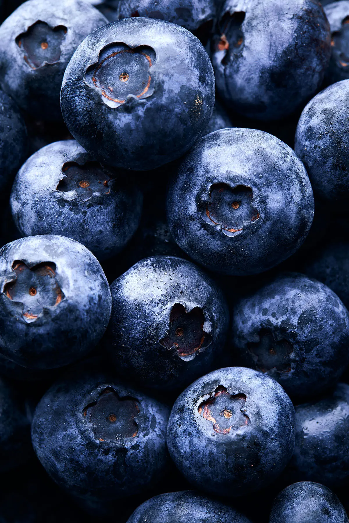 yaban-mersini-haki-yesil-gida-1 https://haki2.gokhan4.dev/wp-content/uploads/2024/07/yaban-mersini-haki-yesil-gida-1.webp